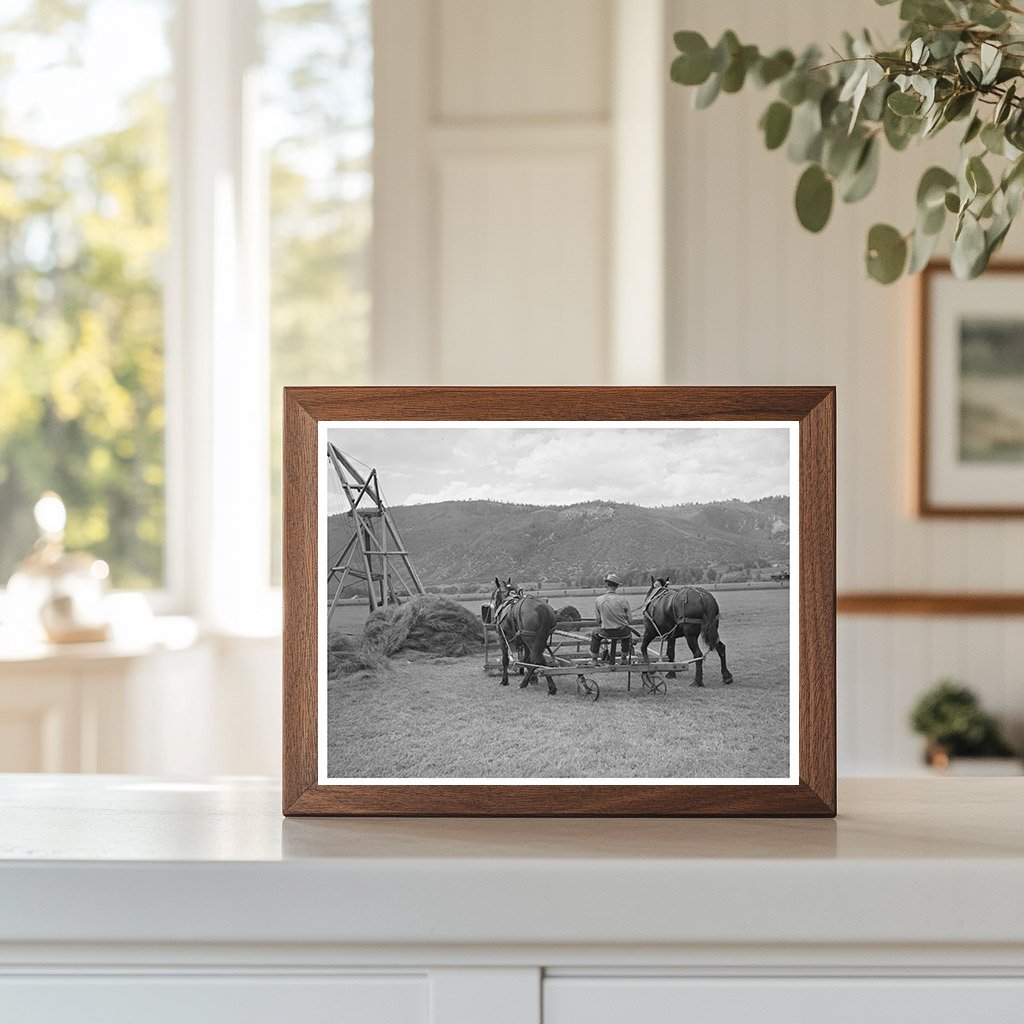 Vintage Hay Pusher in Uncompahgre River Valley 1940