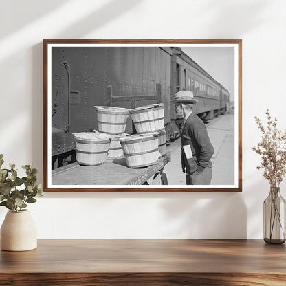 Man Examines Express Packages at Montrose Train Station 1940