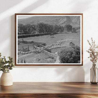 Vintage Photo of Lamb Transportation in Cimarron 1940