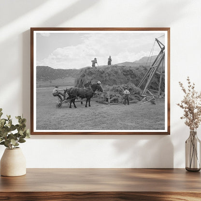 1940 Ouray County Colorado Worker Hay Stacking Scene