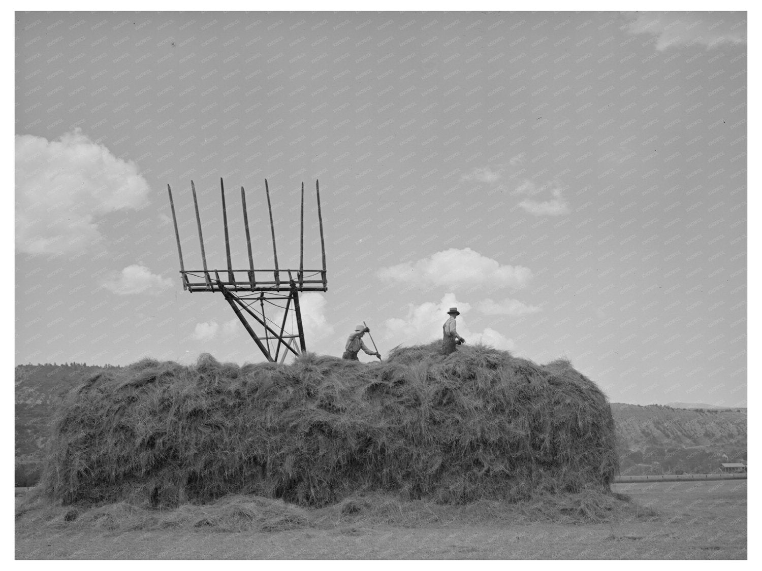 Hay Stacker and Haystack Ouray County Colorado 1940