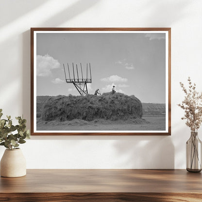 Hay Stacker and Haystack Ouray County Colorado 1940