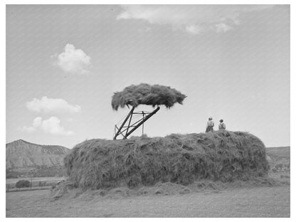 Stacking Hay in Ouray County Colorado September 1940