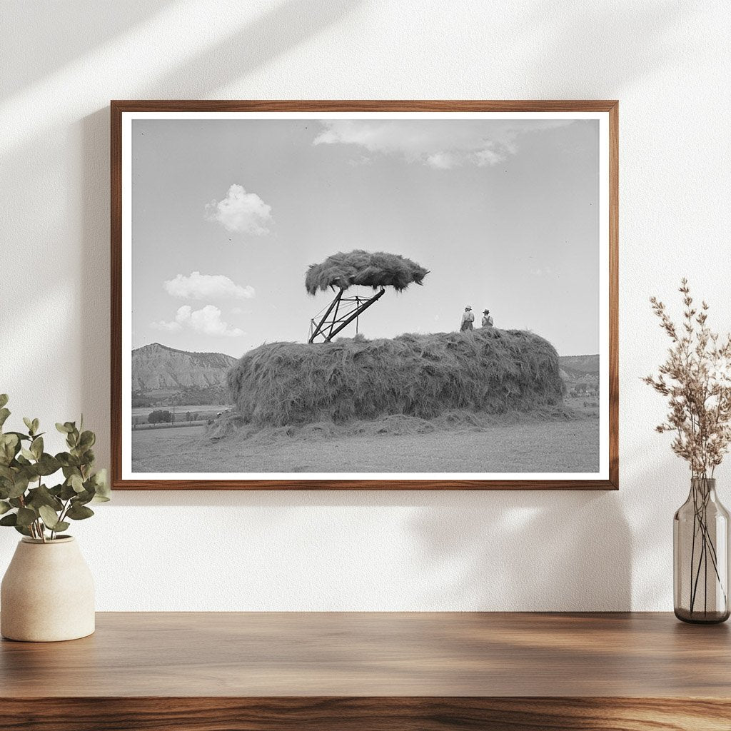 Stacking Hay in Ouray County Colorado September 1940