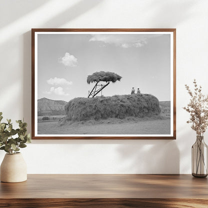 Stacking Hay in Ouray County Colorado September 1940