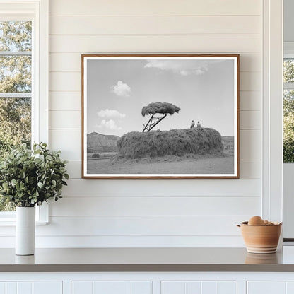 Stacking Hay in Ouray County Colorado September 1940