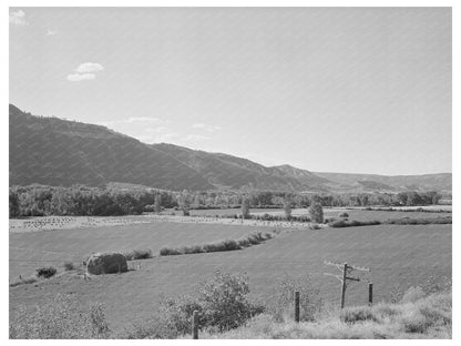 Valley of the Uncampaghre River Ouray County 1940