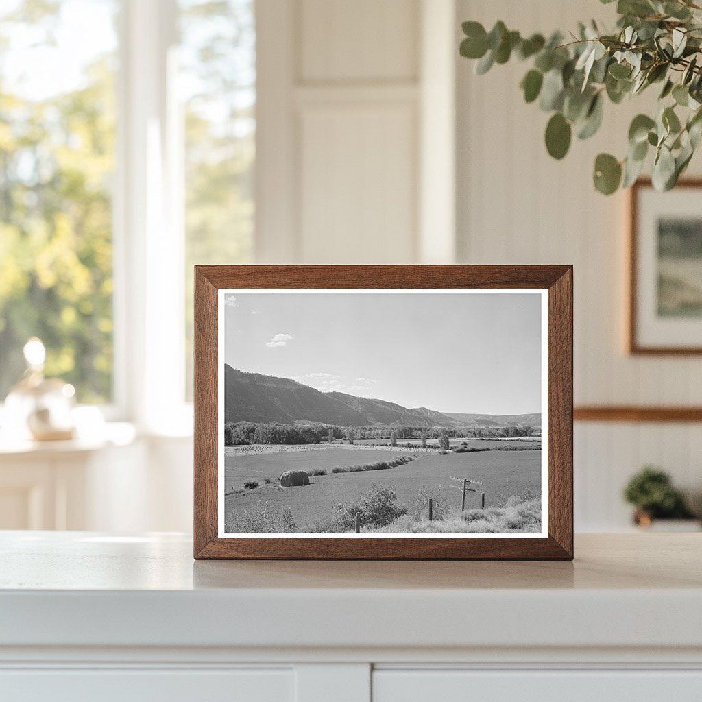 Valley of the Uncampaghre River Ouray County 1940