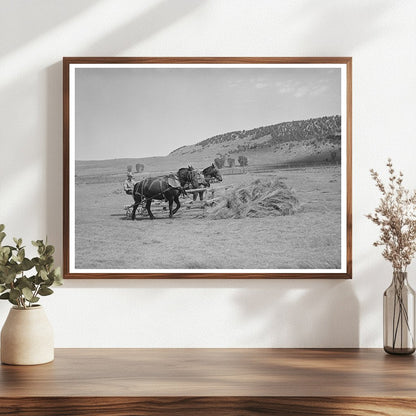 Hay Gathering in Ouray County Colorado 1940