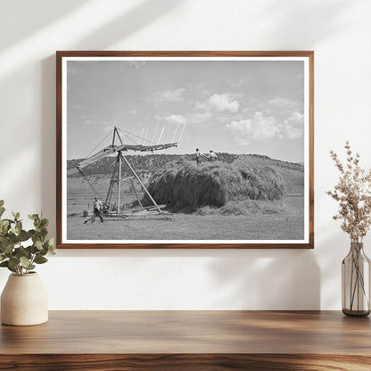 1940 Ouray County Colorado Hay Stacking Practices