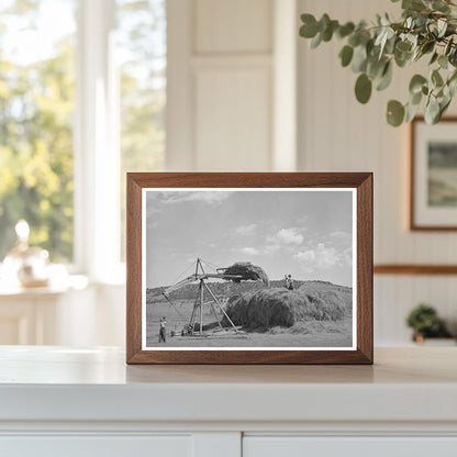 Stocking Hay in Ouray County Colorado 1940