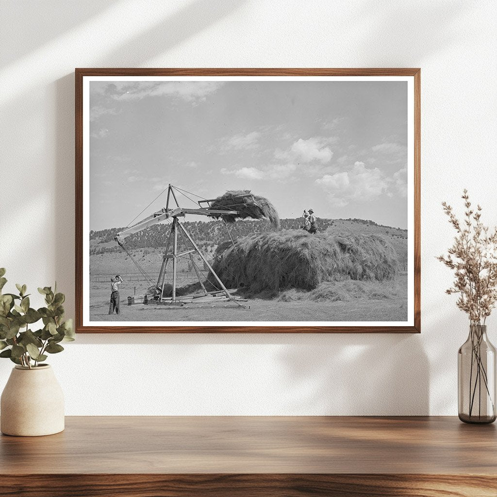 Stocking Hay in Ouray County Colorado 1940