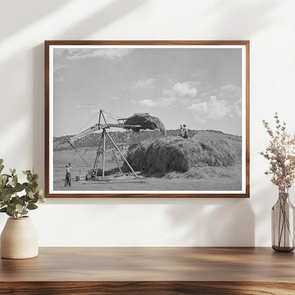 Stocking Hay in Ouray County Colorado 1940