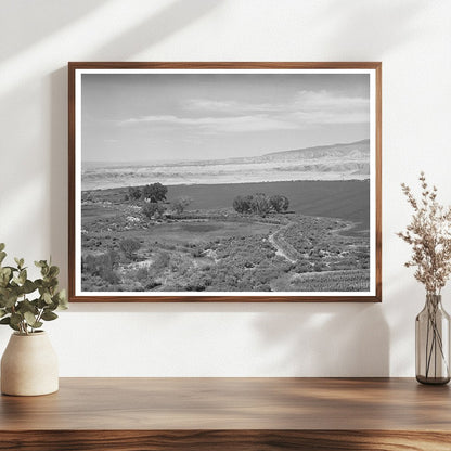 Irrigated Farmland in Delta County Colorado 1940