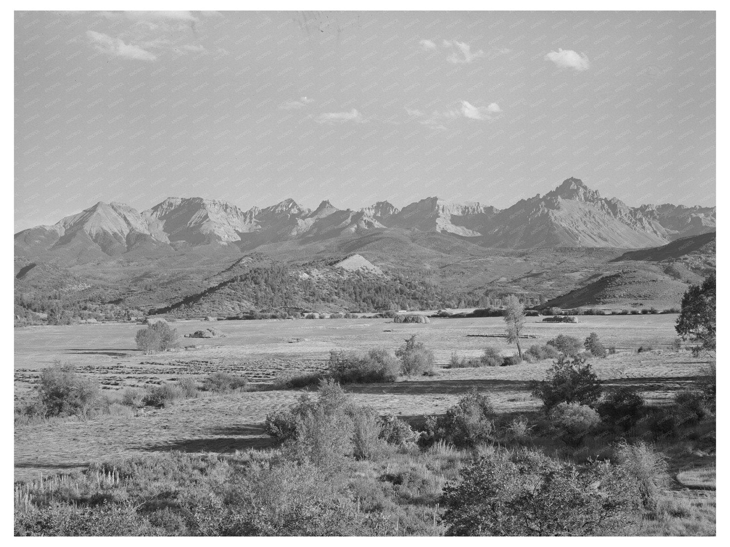 Ouray County Colorado Mountains Vintage Image 1940