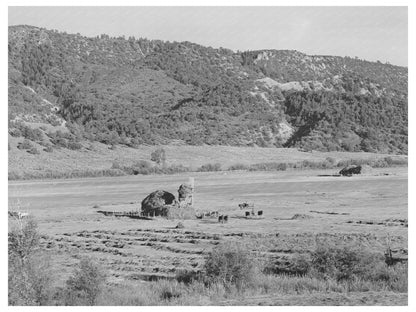 Ouray County Colorado Haying Activity September 1940