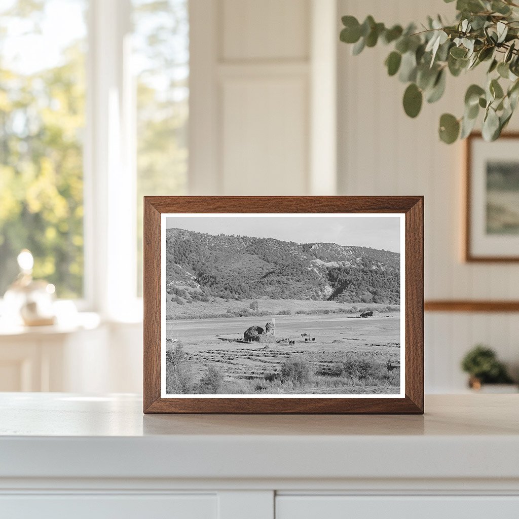 Ouray County Colorado Haying Activity September 1940