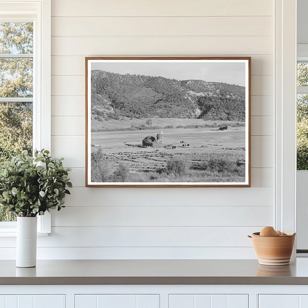 Ouray County Colorado Haying Activity September 1940