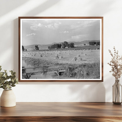 Irrigated Farm in Montrose County Colorado September 1940