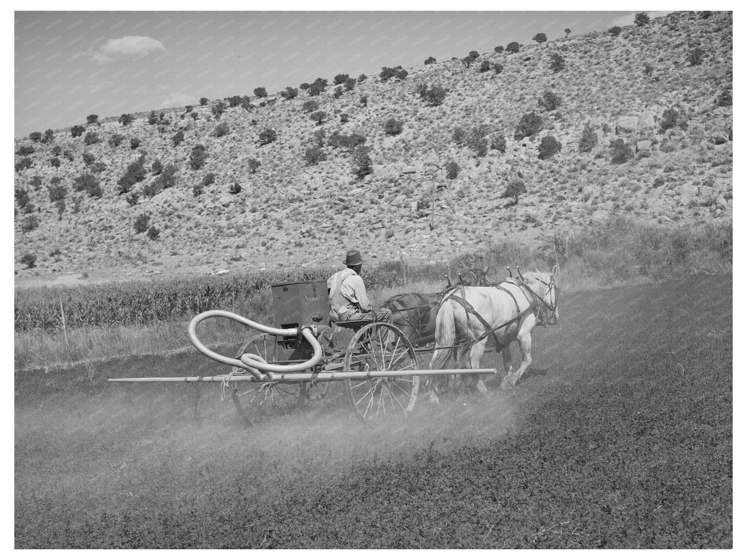 1940 Allen Valley Duster Association Alfalfa Dusting Utah