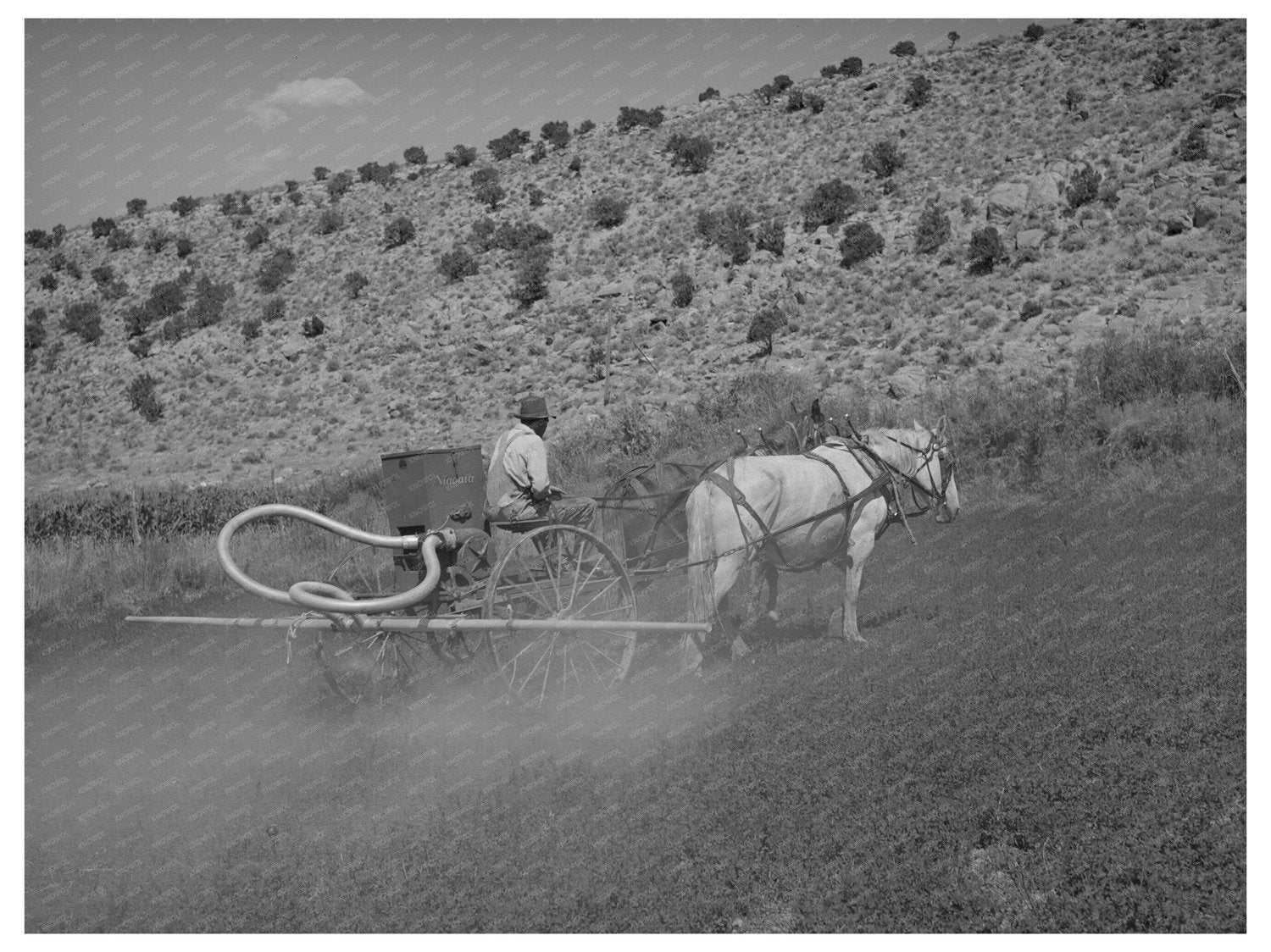 1940 Duster Dusting Alfalfa in Sanpete County Utah