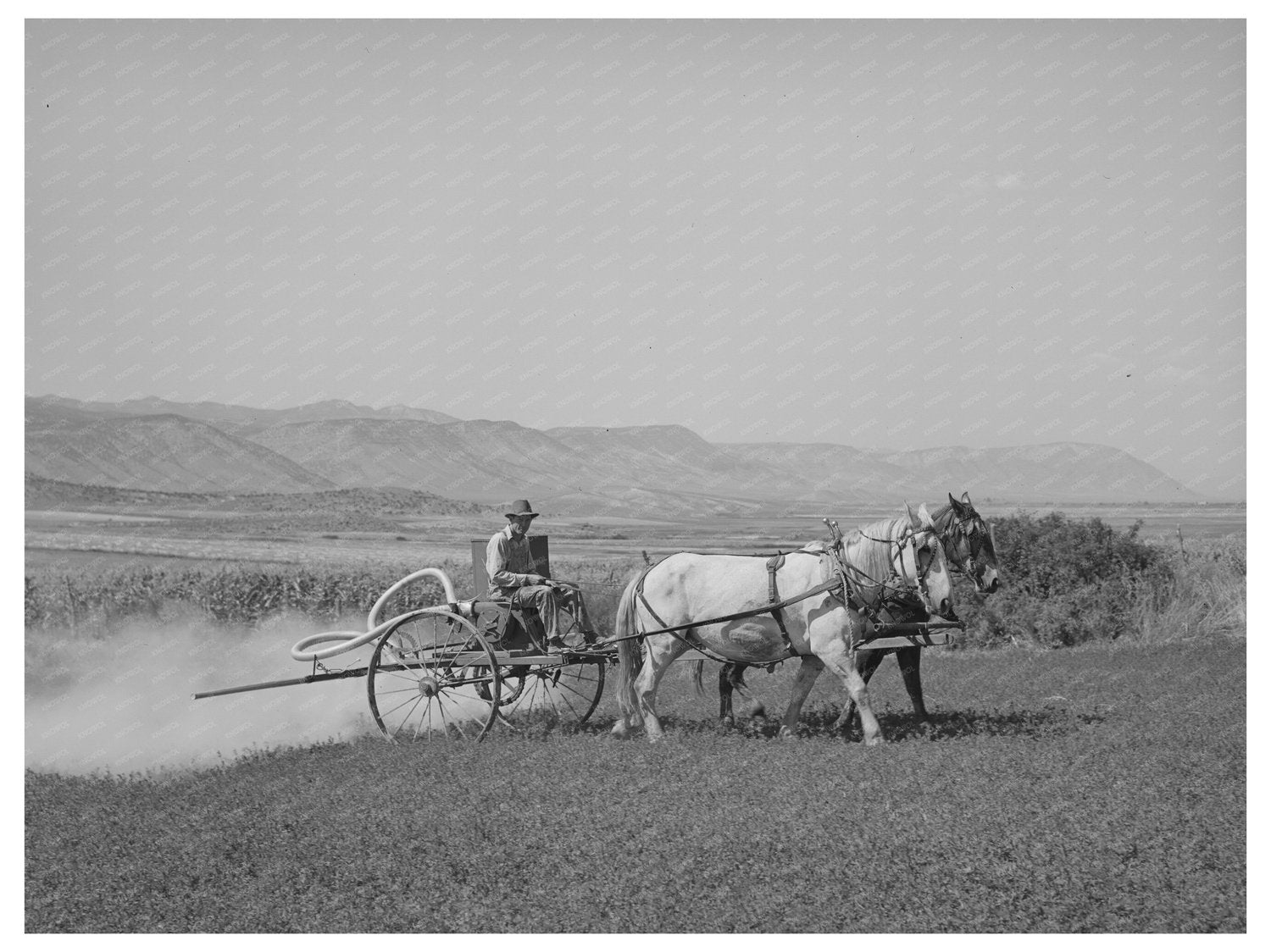 Allen Valley Duster in Action Sanpete County Utah 1940