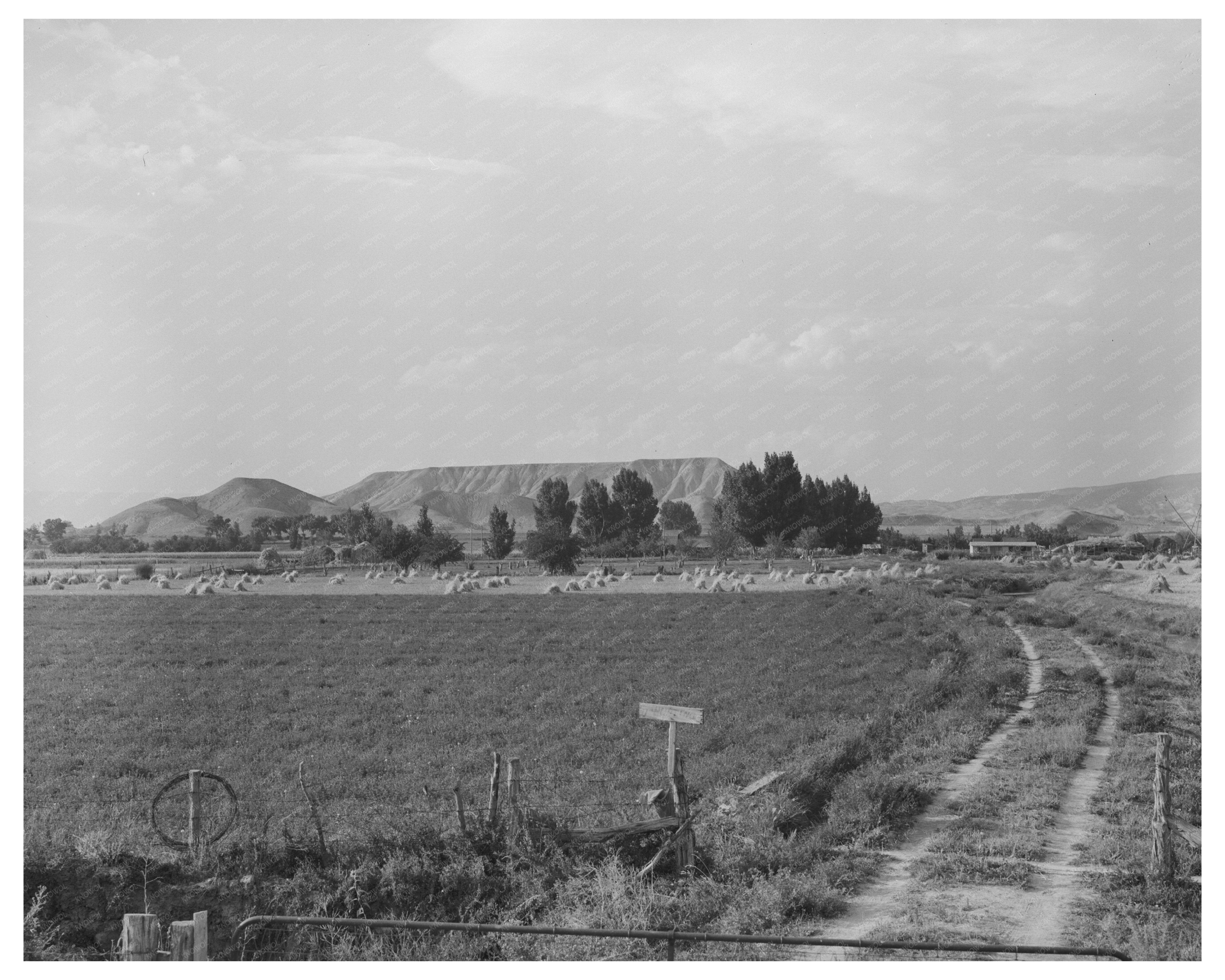 Farm Scene Montrose County Colorado September 1940