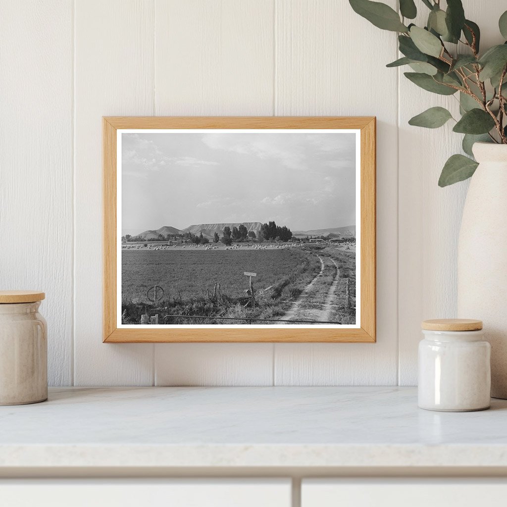 Farm Scene Montrose County Colorado September 1940