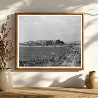 Farm Scene Montrose County Colorado September 1940