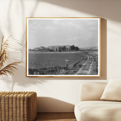 Farm Scene Montrose County Colorado September 1940