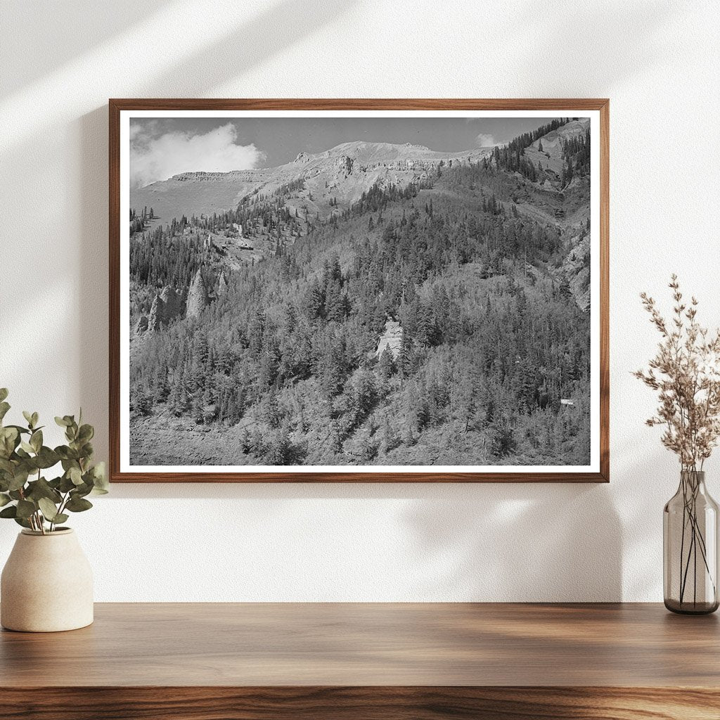 Telluride Colorado Landscape Above Timberline 1940