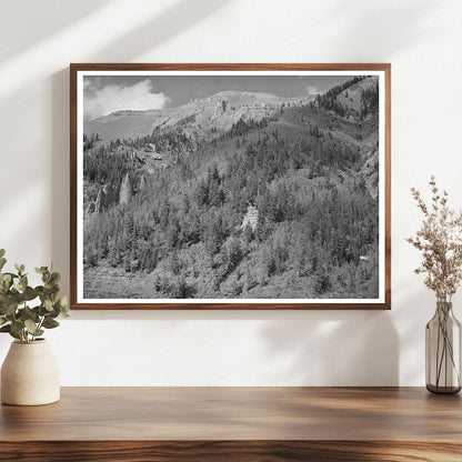 Telluride Colorado Landscape Above Timberline 1940