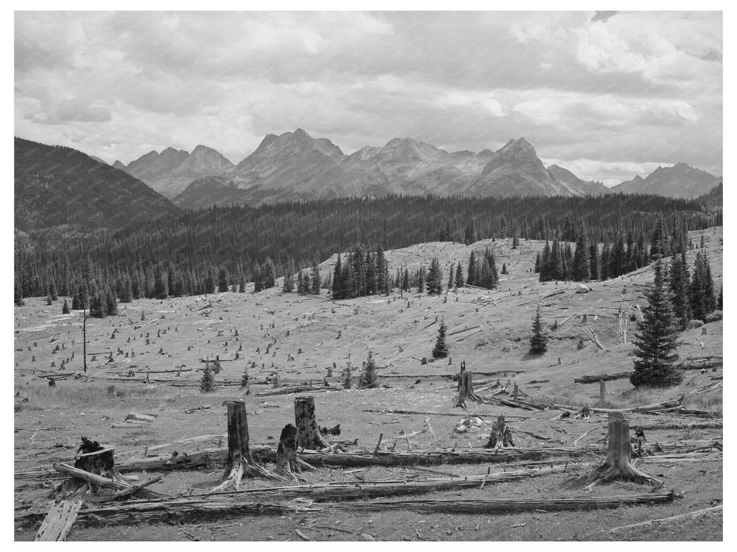 Deforestation Effects in San Juan County Colorado 1940