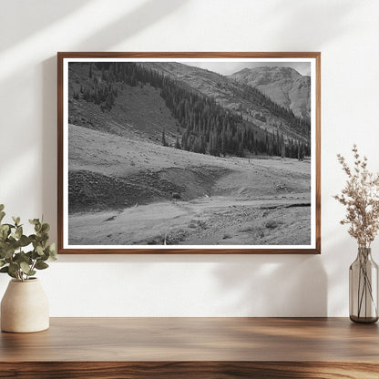 Sheep Driven from Mountain Pastures Silverton Colorado 1940