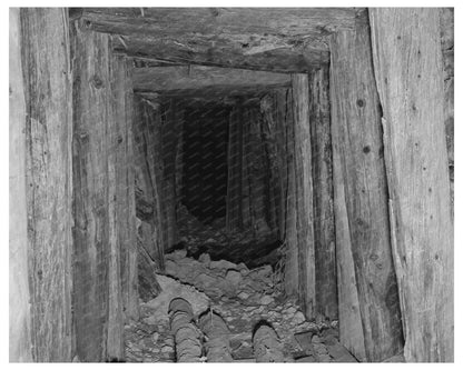 Timbered Tunnel Leading to Mine in San Juan County 1940