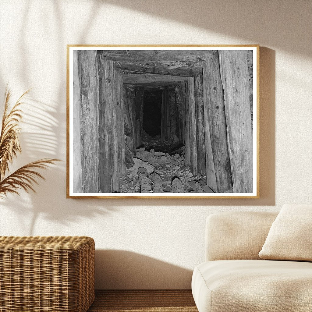 Timbered Tunnel Leading to Mine in San Juan County 1940