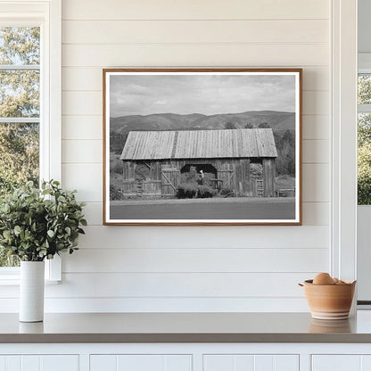 1940 Farmer Storing Hay in La Plata County Colorado