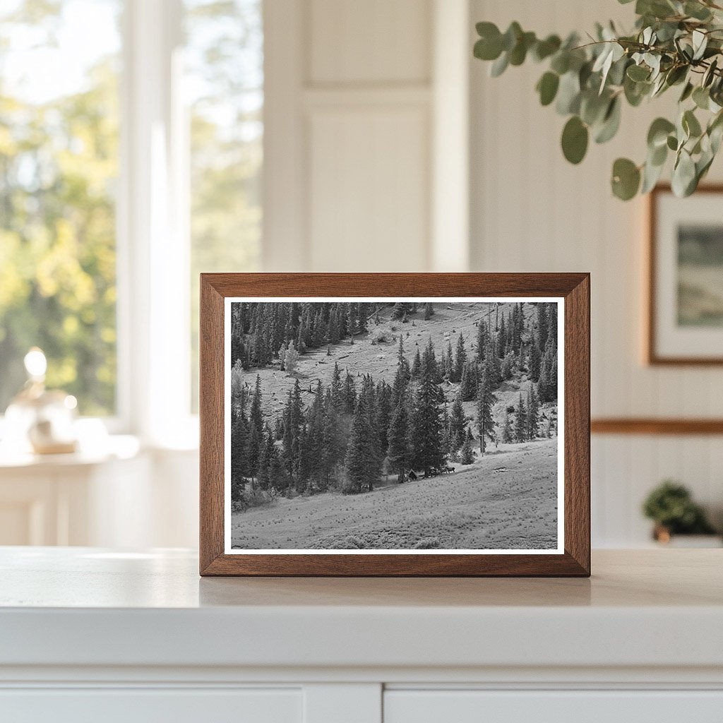 Sheepherders Camp San Juan County Colorado September 1940
