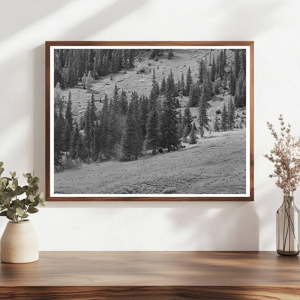 Sheepherders Camp San Juan County Colorado September 1940