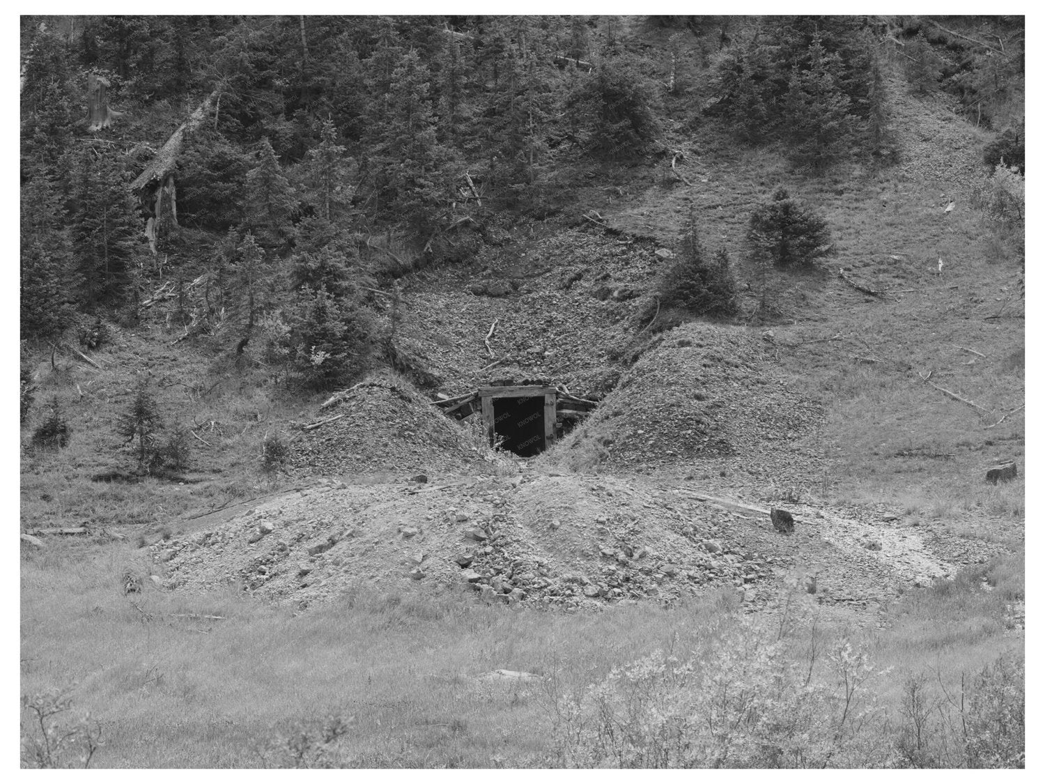 1940 Vintage Mine Tunnel in San Juan County Colorado
