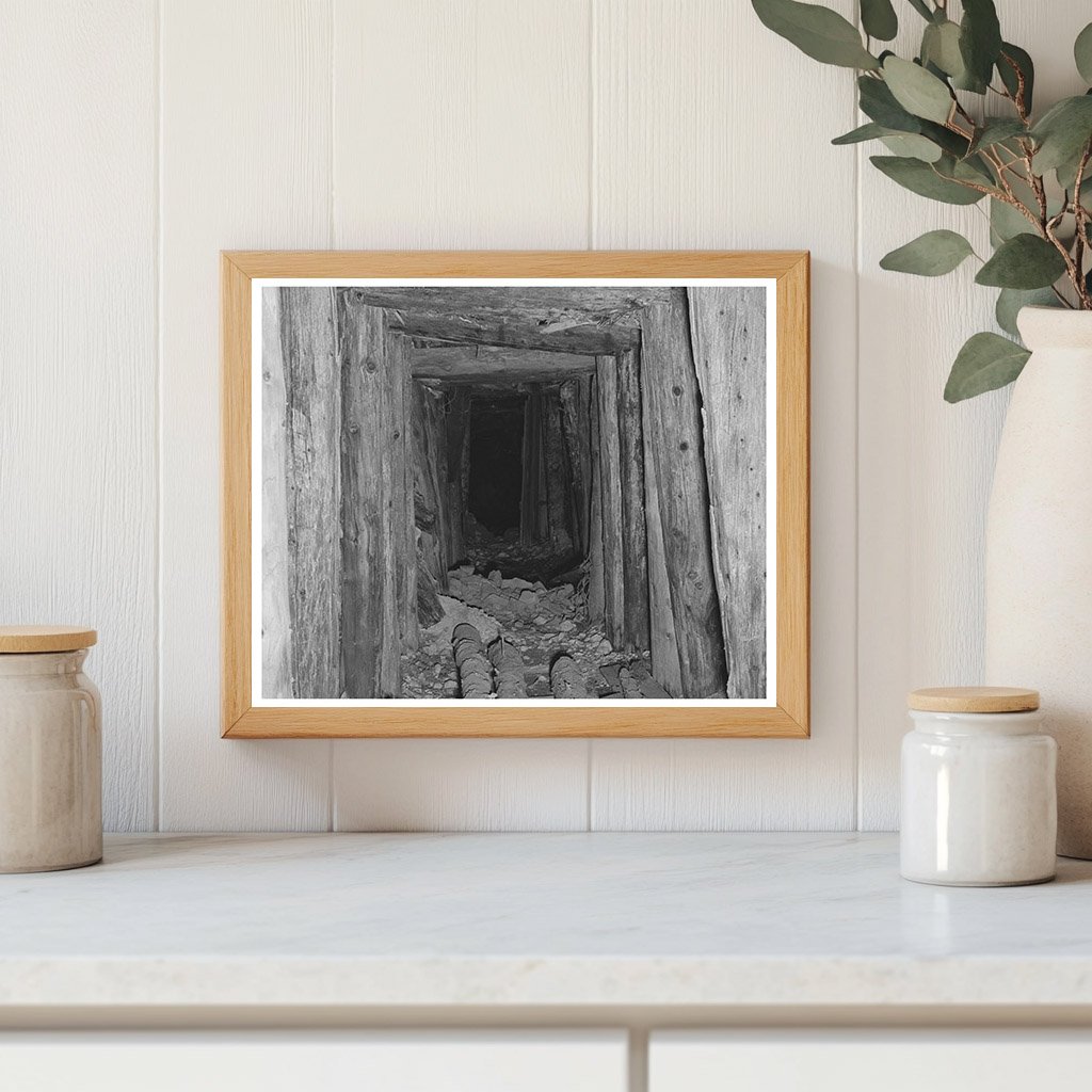 Timber Shored Mine Tunnel San Juan County Colorado 1940