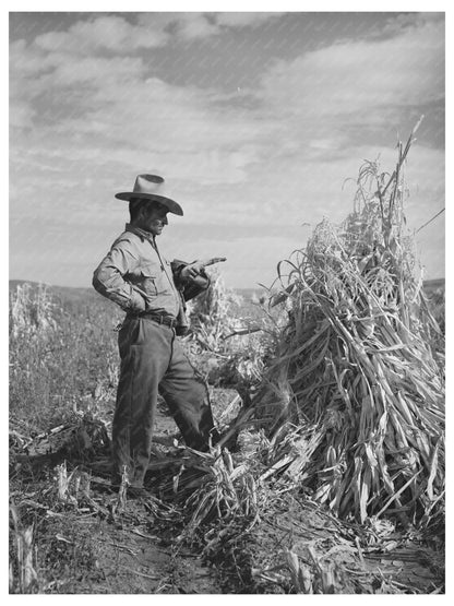 Spanish Farmer in Cornfield Arizona 1940