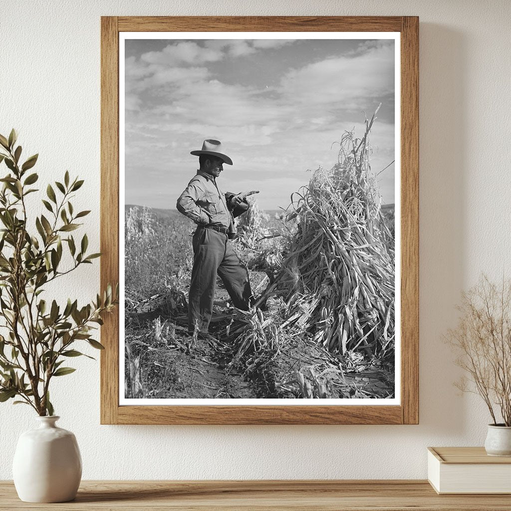 Spanish Farmer in Cornfield Arizona 1940