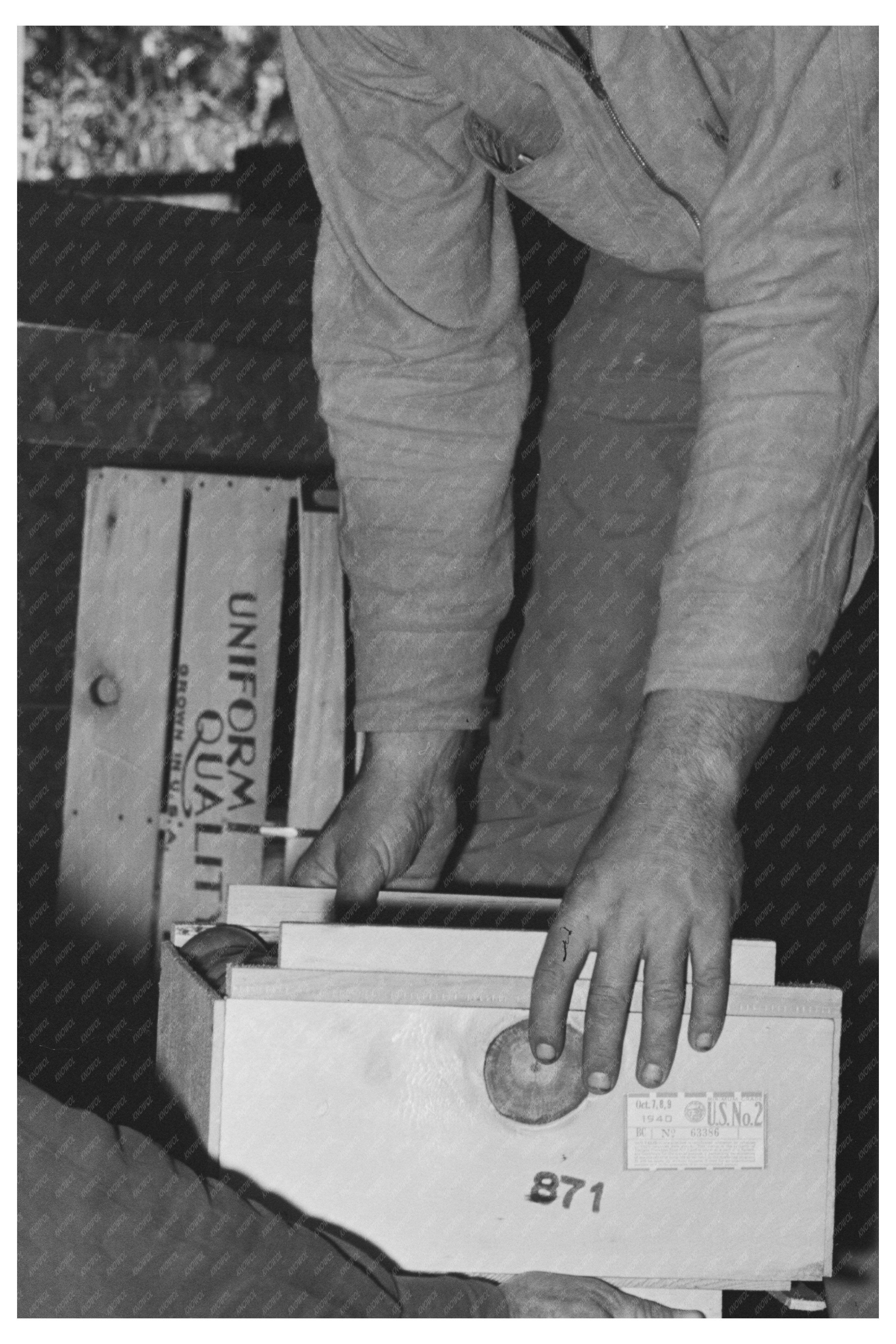 Fruit Loading for Shipment at Santa Clara Warehouse 1940