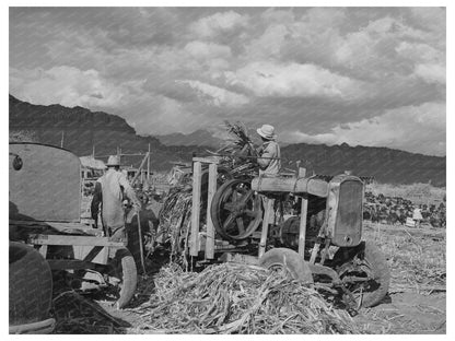 Sugar Cane Juice Extraction in Utah October 1940