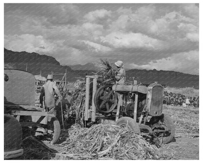 Sugar Cane Juice Extraction Ivins Utah 1940