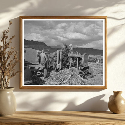 Sugar Cane Juice Extraction Ivins Utah 1940