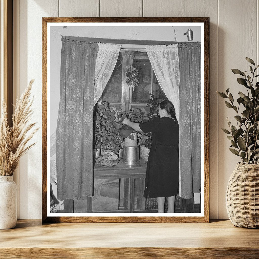 Flowers in Deep Window Concho Arizona October 1940