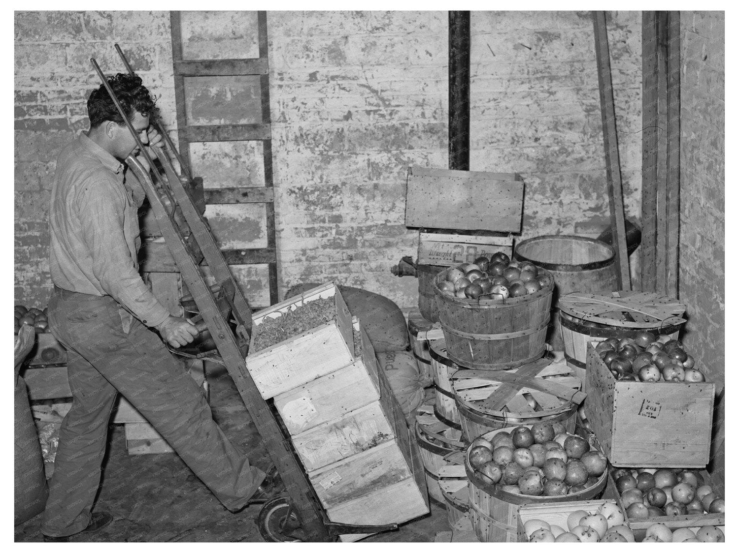 1940 Workers Handling Fruit in Santa Clara Utah Warehouse