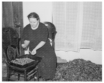 Spanish Woman Selecting Chili Peppers in Arizona 1940